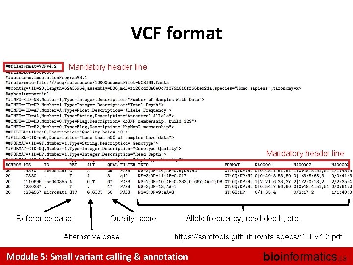 VCF format Mandatory header line Reference base Quality score Alternative base Allele frequency, read