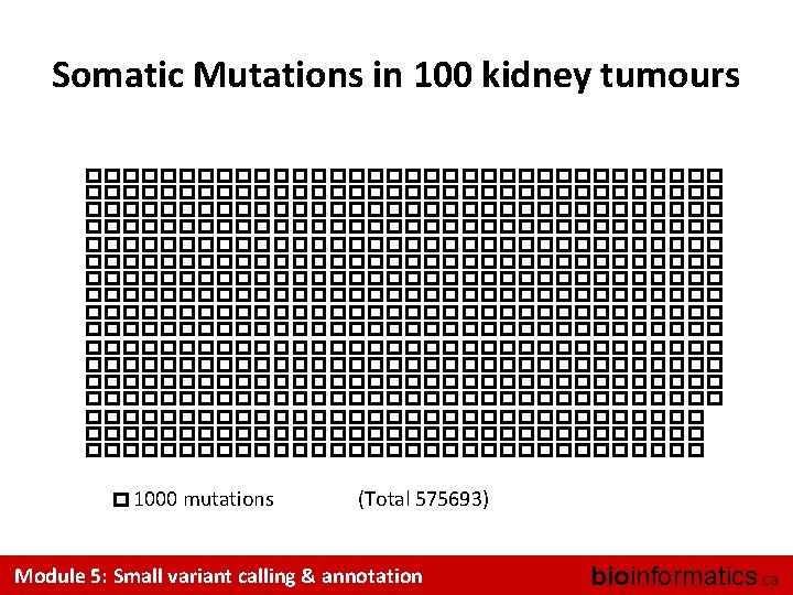Somatic Mutations in 100 kidney tumours 1000 mutations (Total 575693) Module 5: Small variant