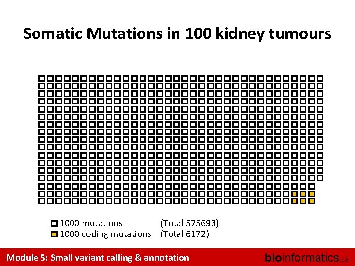 Somatic Mutations in 100 kidney tumours 1000 mutations (Total 575693) 1000 coding mutations (Total