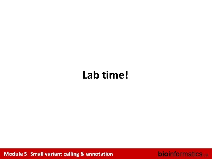 Lab time! Module 5: Small variant calling & annotation bioinformatics. ca 