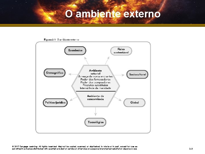 O ambiente externo © 2017 Cengage Learning. All rights reserved. May not be copied,