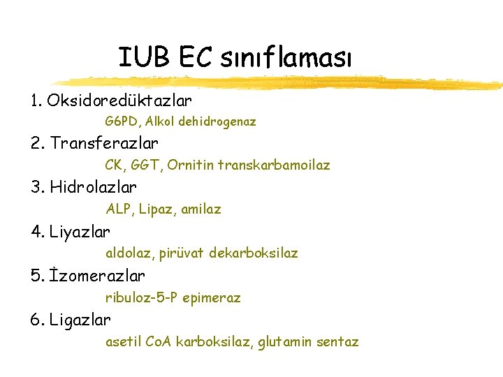 IUB EC sınıflaması 1. Oksidoredüktazlar G 6 PD, Alkol dehidrogenaz 2. Transferazlar CK, GGT,