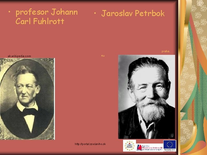  • profesor Johann Carl Fuhlrott • Jaroslav Petrbok praha. sk. wikipedia. com eu