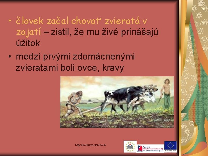  • človek začal chovať zvieratá v zajatí – zistil, že mu živé prinášajú