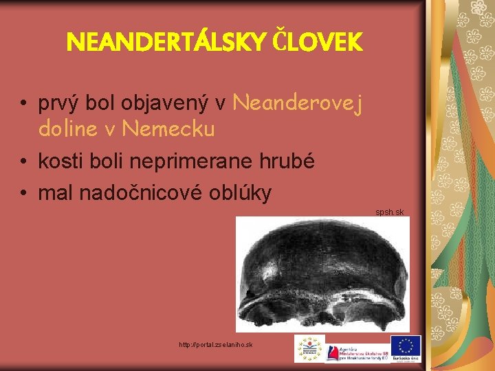 NEANDERTÁLSKY ČLOVEK • prvý bol objavený v Neanderovej doline v Nemecku • kosti boli