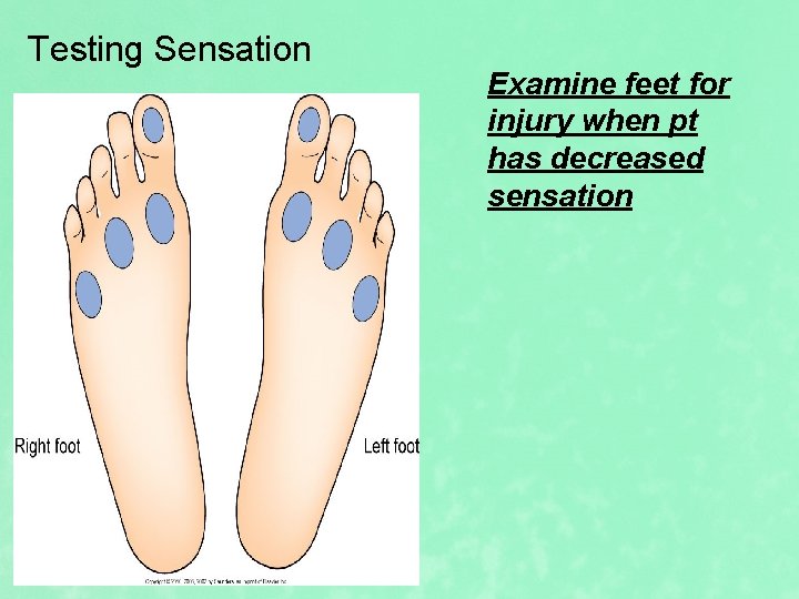 Testing Sensation Examine feet for injury when pt has decreased sensation 