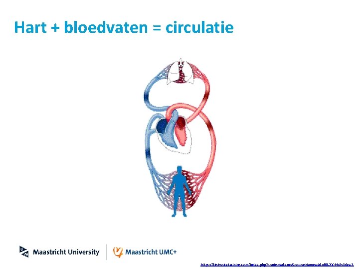 Hart + bloedvaten = circulatie https: //firstvoicetraining. com/index. php? content=demo&course. Name=Adult%20 CPR&slide=3 