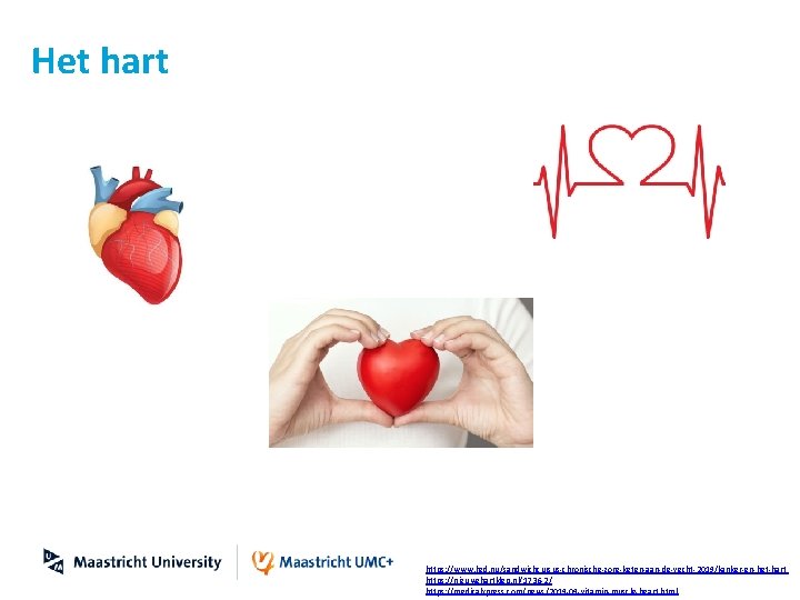 Het hart https: //www. hzd. nu/sandwichcursus-chronische-zorg-keten-aan-de-vecht-2019/kanker-en-het-hart https: //nieuwehartklep. nl/1736 -2/ https: //medicalxpress. com/news/2019 -09