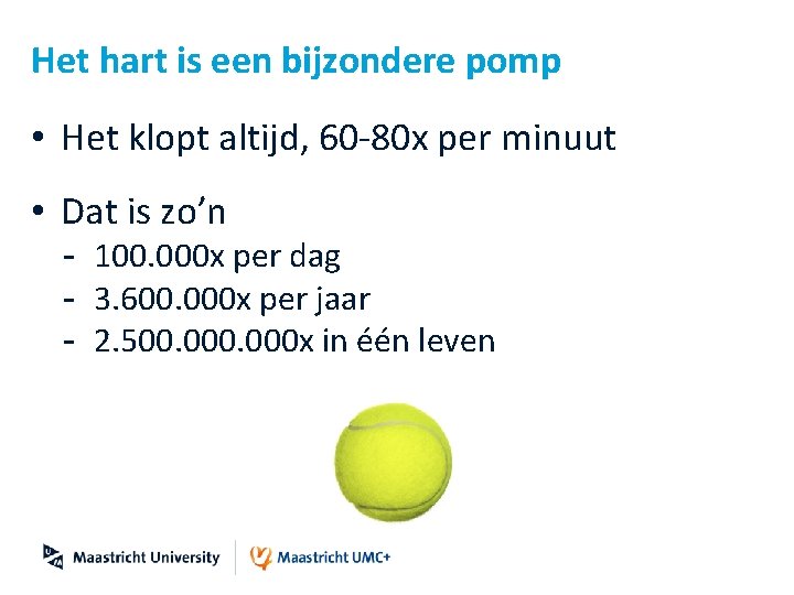 Het hart is een bijzondere pomp • Het klopt altijd, 60 -80 x per