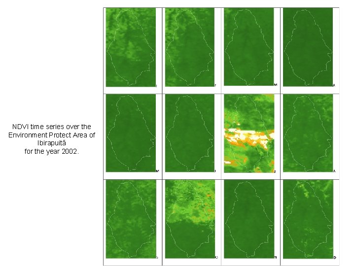 NDVI time series over the Environment Protect Area of Ibirapuitã for the year 2002.