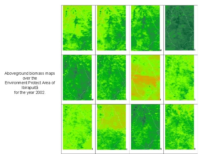 Aboveground biomass maps over the Environment Protect Area of Ibirapuitã for the year 2002.