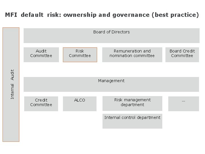 MFI default risk: ownership and governance (best practice) Board of Directors Internal Audit Committee