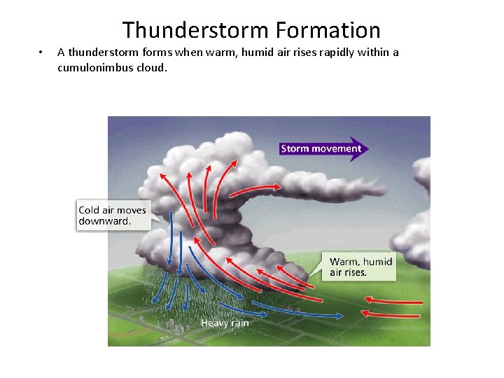  • Thunderstorm Formation A thunderstorm forms when warm, humid air rises rapidly within