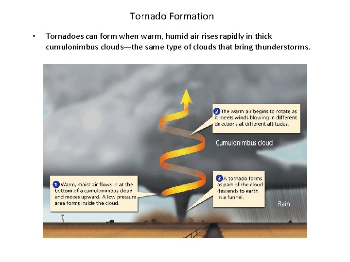 Tornado Formation • Tornadoes can form when warm, humid air rises rapidly in thick