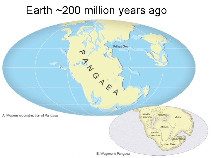 Earth ~200 million years ago 