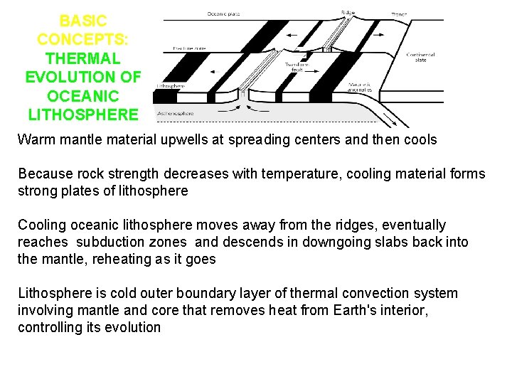 BASIC CONCEPTS: THERMAL EVOLUTION OF OCEANIC LITHOSPHERE Warm mantle material upwells at spreading centers