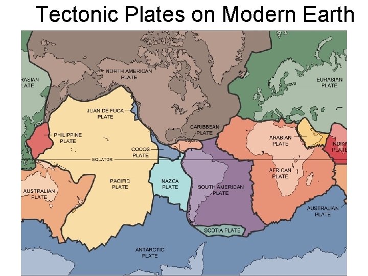 Tectonic Plates on Modern Earth 