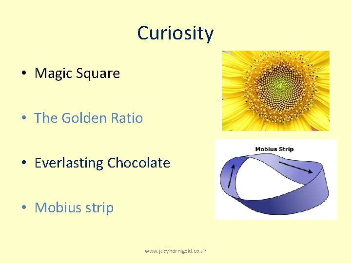 Curiosity • Magic Square • The Golden Ratio • Everlasting Chocolate • Mobius strip