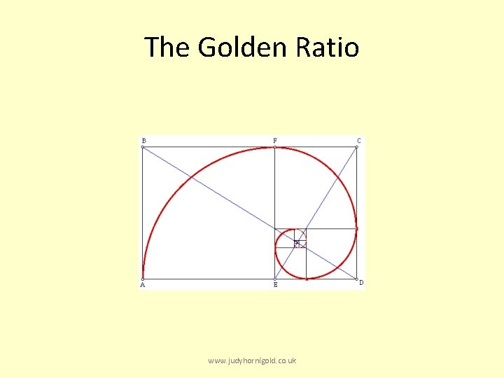 The Golden Ratio www. judyhornigold. co. uk 