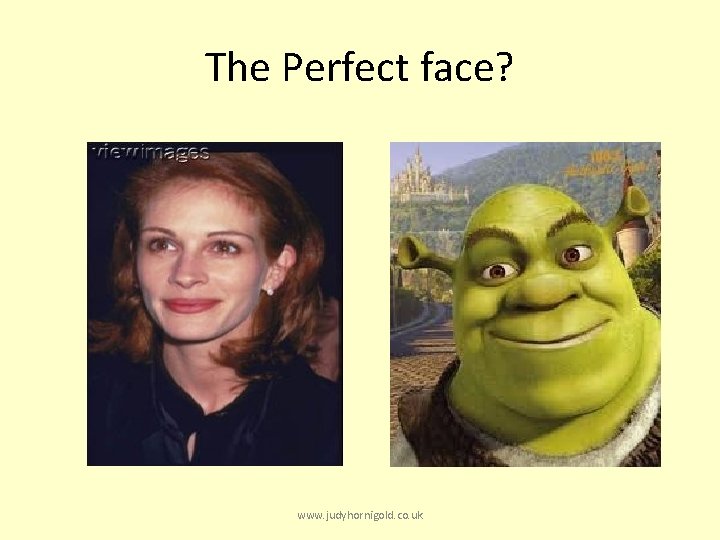 The Perfect face? www. judyhornigold. co. uk 