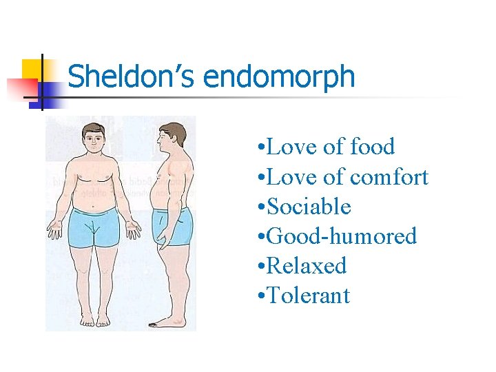 Sheldon’s endomorph • Love of food • Love of comfort • Sociable • Good-humored
