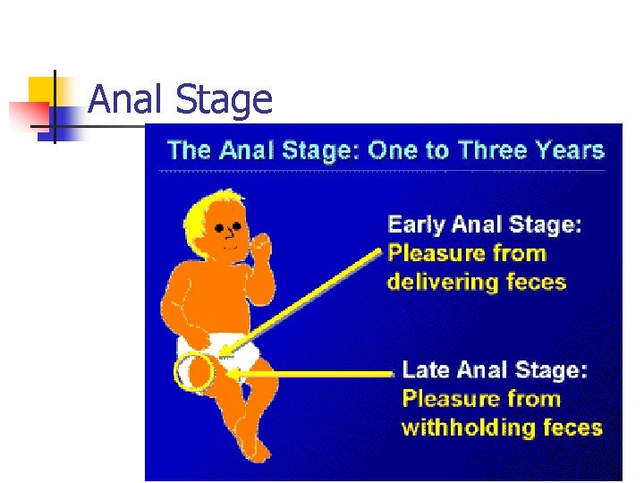 Anal Stage 
