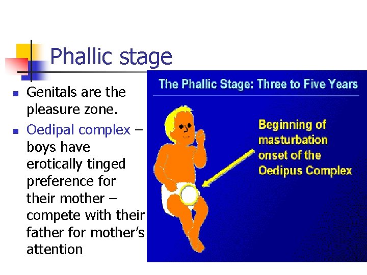 Phallic stage n n Genitals are the pleasure zone. Oedipal complex – boys have