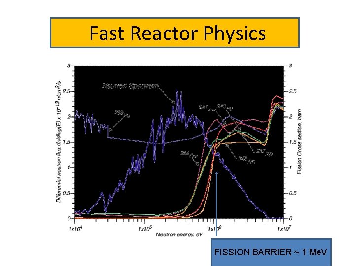 Fast Reactor Physics FISSION BARRIER ~ 1 Me. V 