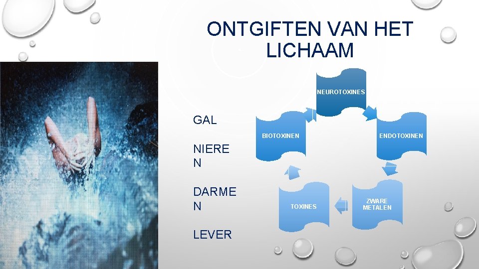 ONTGIFTEN VAN HET LICHAAM NEUROTOXINES GAL BIOTOXINEN ENDOTOXINEN NIERE N DARME N LEVER TOXINES