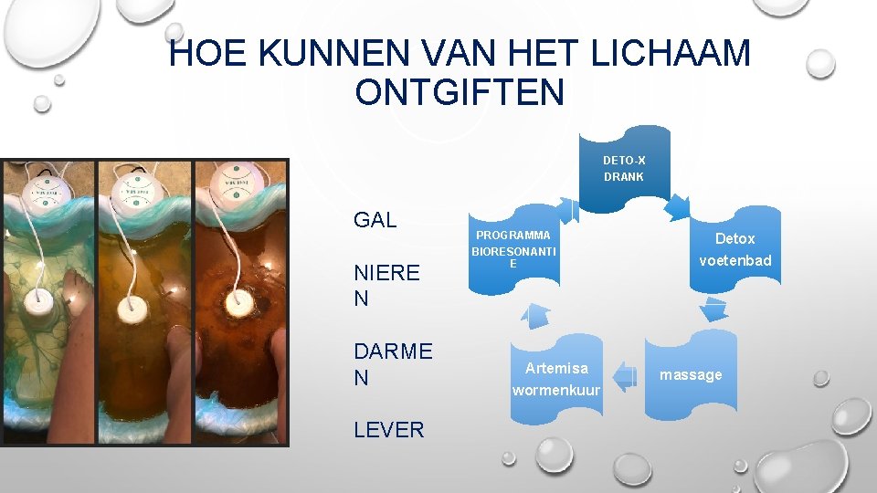 HOE KUNNEN VAN HET LICHAAM ONTGIFTEN DETO-X DRANK GAL NIERE N DARME N LEVER