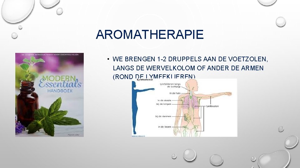 AROMATHERAPIE • WE BRENGEN 1 -2 DRUPPELS AAN DE VOETZOLEN, LANGS DE WERVELKOLOM OF