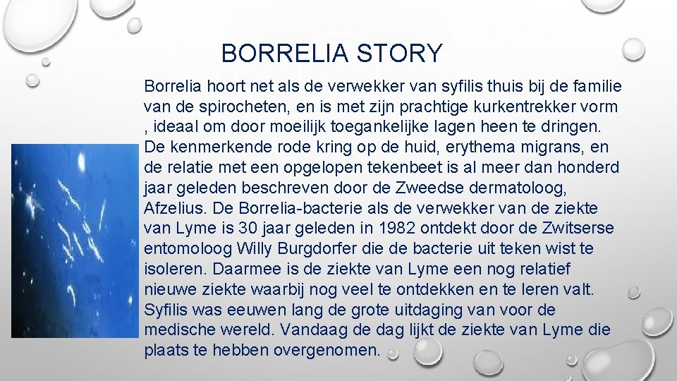 BORRELIA STORY Borrelia hoort net als de verwekker van syfilis thuis bij de familie