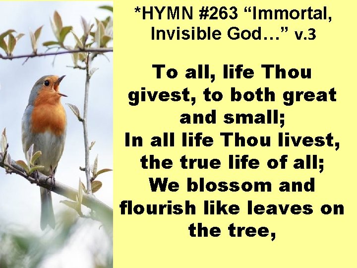 *HYMN #263 “Immortal, Invisible God…” v. 3 To all, life Thou givest, to both