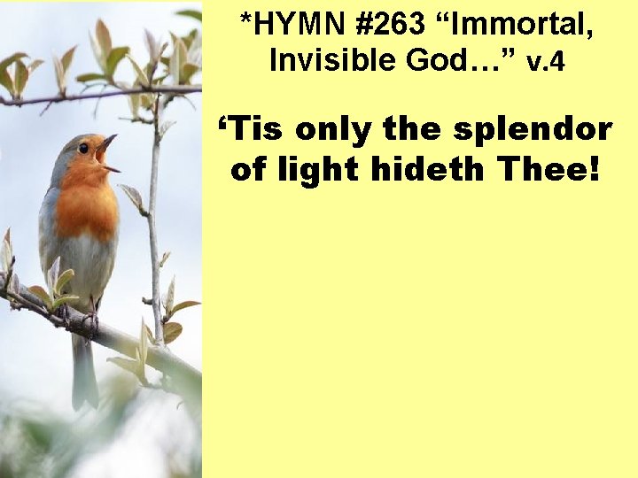 *HYMN #263 “Immortal, Invisible God…” v. 4 ‘Tis only the splendor of light hideth