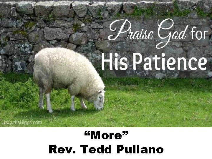 “More” Rev. Tedd Pullano 