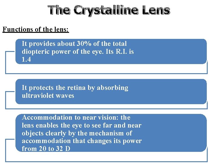 The Crystalline Lens Functions of the lens: It provides about 30% of the total