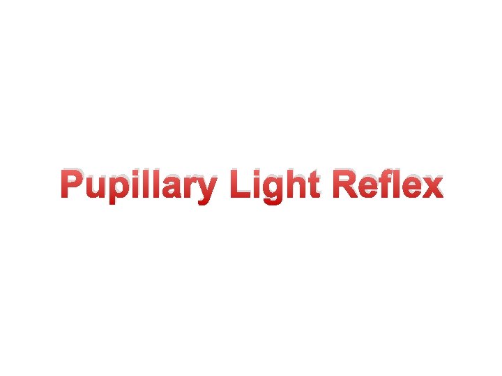 Pupillary Light Reflex 
