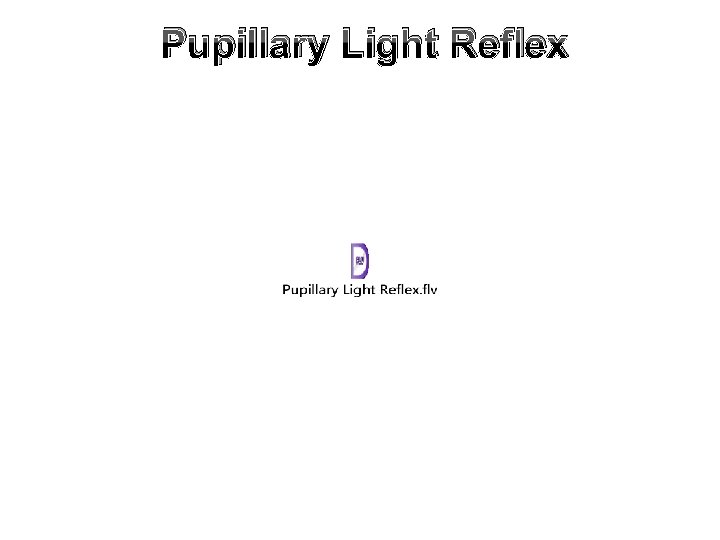 Pupillary Light Reflex 