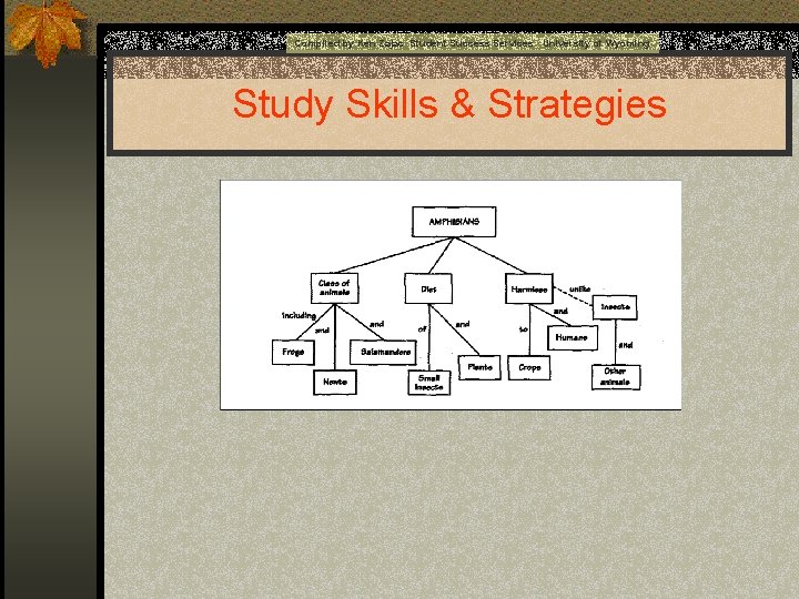 Compiled by Ken Zajac Student Success Services University of Wyoming Study Skills & Strategies
