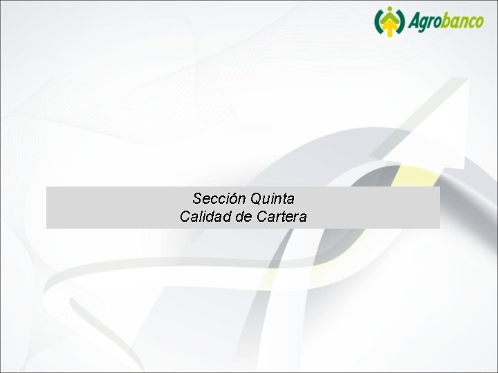 Sección Quinta Calidad de Cartera 