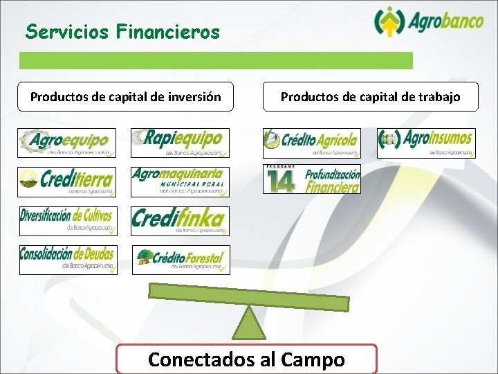 Servicios Financieros Productos de capital de inversión Productos de capital de trabajo Conectados al