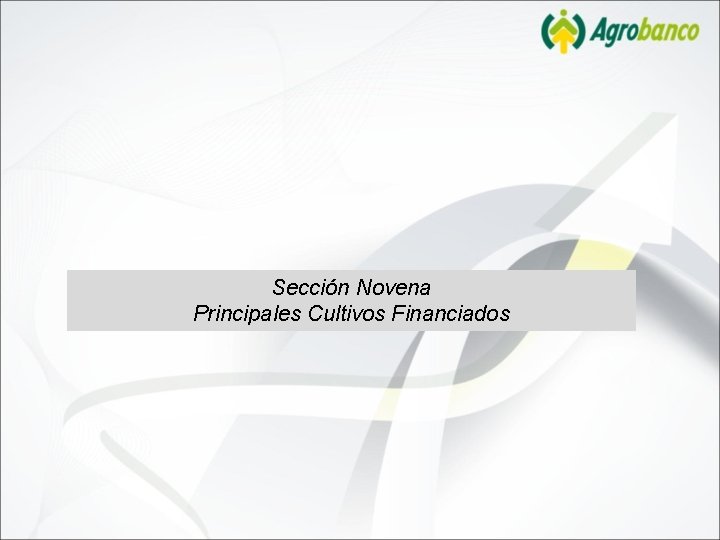 Sección Novena Principales Cultivos Financiados 