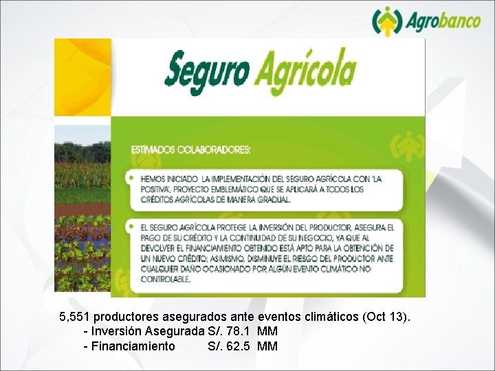 5, 551 productores asegurados ante eventos climáticos (Oct 13). - Inversión Asegurada S/. 78.