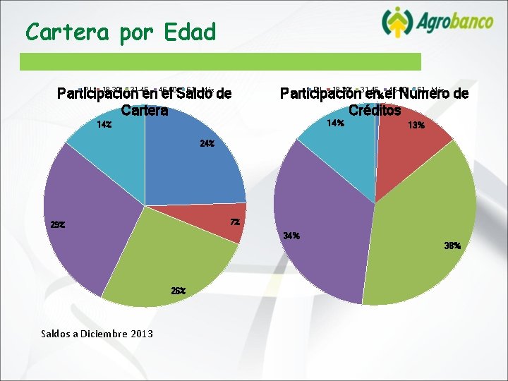 Cartera por Edad PJ 18 -30 31 -45 46 -60 61 - Más Participación