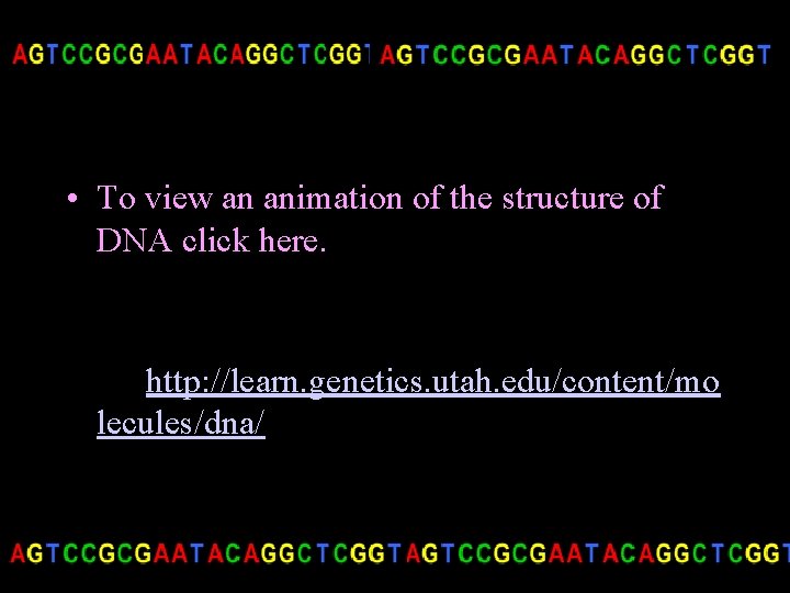  • To view an animation of the structure of DNA click here. http: