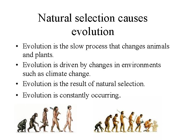 Natural selection causes evolution • Evolution is the slow process that changes animals and