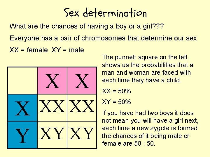 Sex determination What are the chances of having a boy or a girl? ?