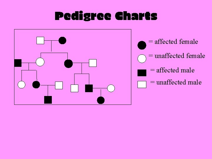 Pedigree Charts = affected female = unaffected female = affected male = unaffected male