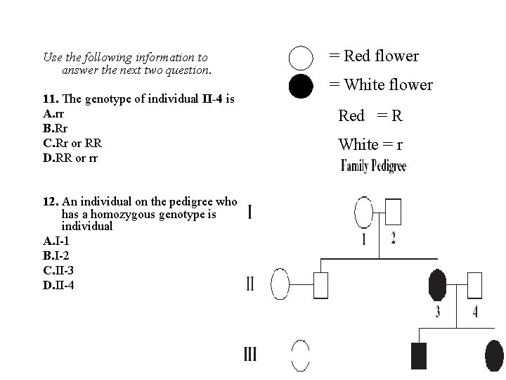 Use the following information to answer the next two question. 11. The genotype of