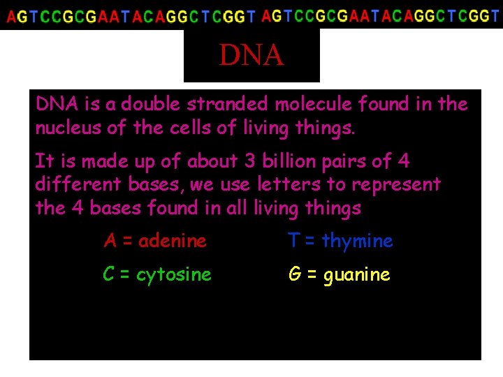 DNA is a double stranded molecule found in the nucleus of the cells of